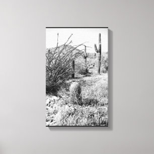 Cowboy Garden Leinwand (AZ Sonoran Desert)