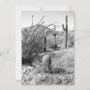 Cowboy-Garten (AZ Sonoran-Wüste) Einladung