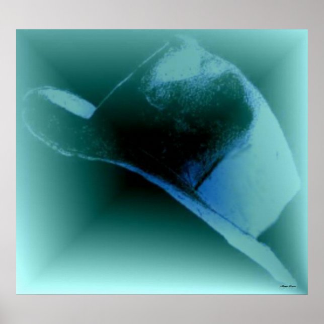 Cowboy Hat Poster (Vorne)