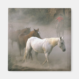 Cowboy Herding Magnet