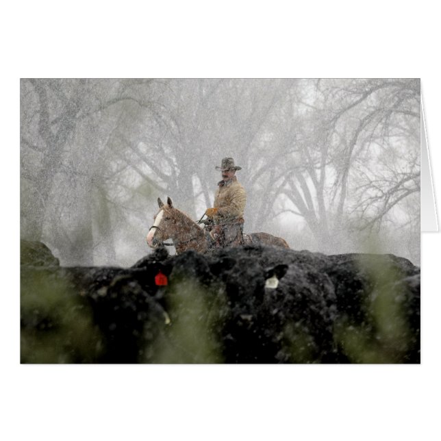 Cowboy im Winter (Vorderseite (Horizontal))