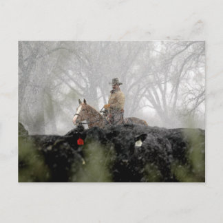 Cowboy im Winter Postkarte