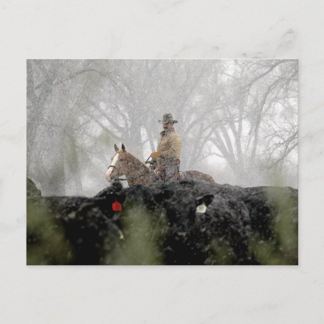 Cowboy im Winter Postkarte (Vorderseite)