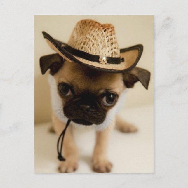 Cowboy-Mops-Welpe Postkarte (Vorderseite)