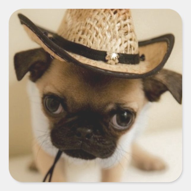 Cowboy-Mops-Welpe Quadratischer Aufkleber (Vorderseite)