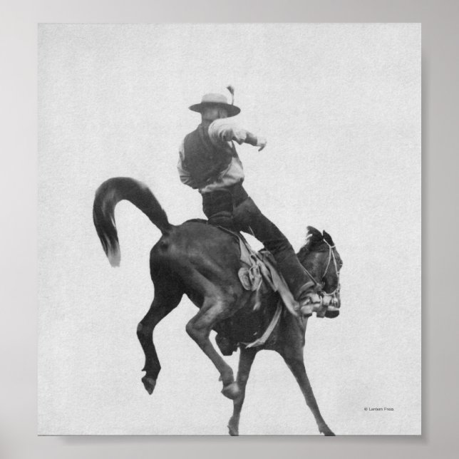 Cowboy Ned Coy Riding Bronco Poster (Vorne)