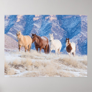 Cowboy-Pferdetrieb auf Hideout Ranch Poster