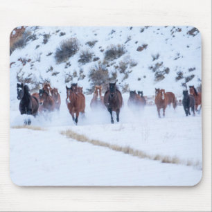 Cowboy Pferdetrieb   Hideout Ranch Shell, Wyoming Mousepad