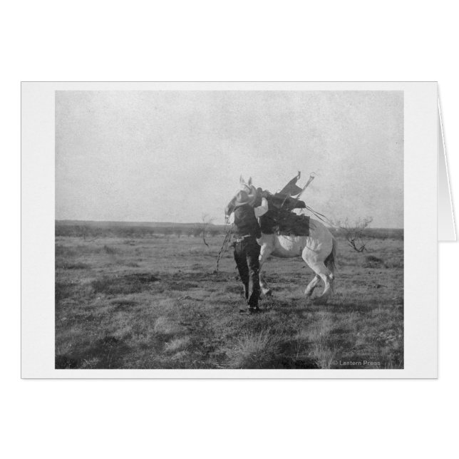 Cowboy "Red Saunders" Saddles a Bronco (Vorderseite (Horizontal))