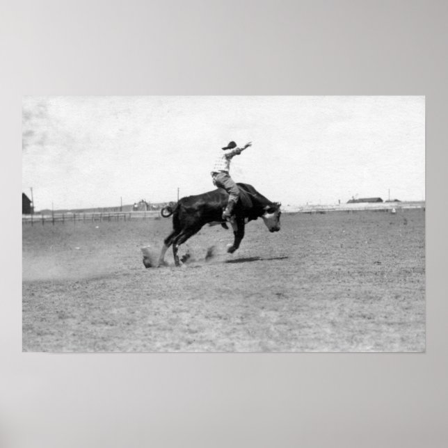 Cowboy reiten einen Buckbull Poster (Vorne)