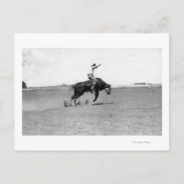 Cowboy reiten einen Buckbull Postkarte (Vorderseite)