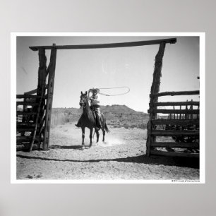 Cowboy roping poster