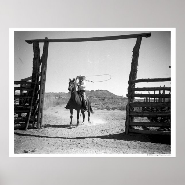 Cowboy-Seil Poster (Vorne)