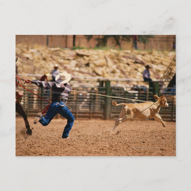 Cowboy-Seilkalb in Rodeo Postkarte (Vorderseite)