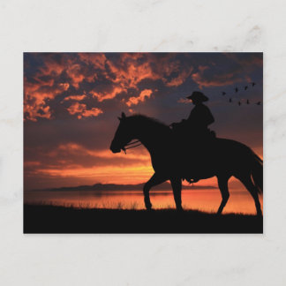 Cowboy Sunset Postkarte