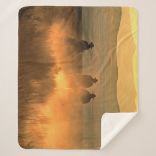 Cowboy-Trio: Berglandschaft. Sherpadecke