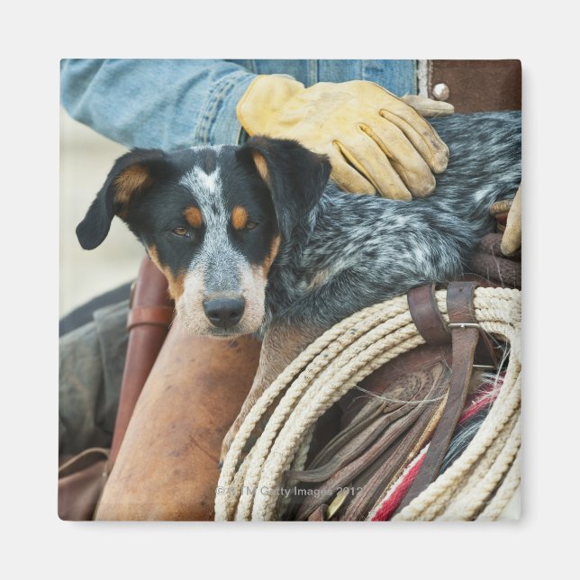 Cowboy und Hund auf Pferd Magnet (Vorne)
