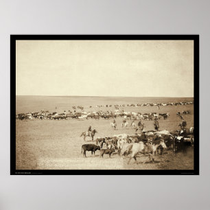 Cowboy-Zusammenfassung an der Schönheit Fouche Sd Poster