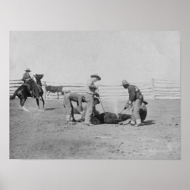 Cowboys Branding a Calf FotoSouth Dakota Poster (Vorne)