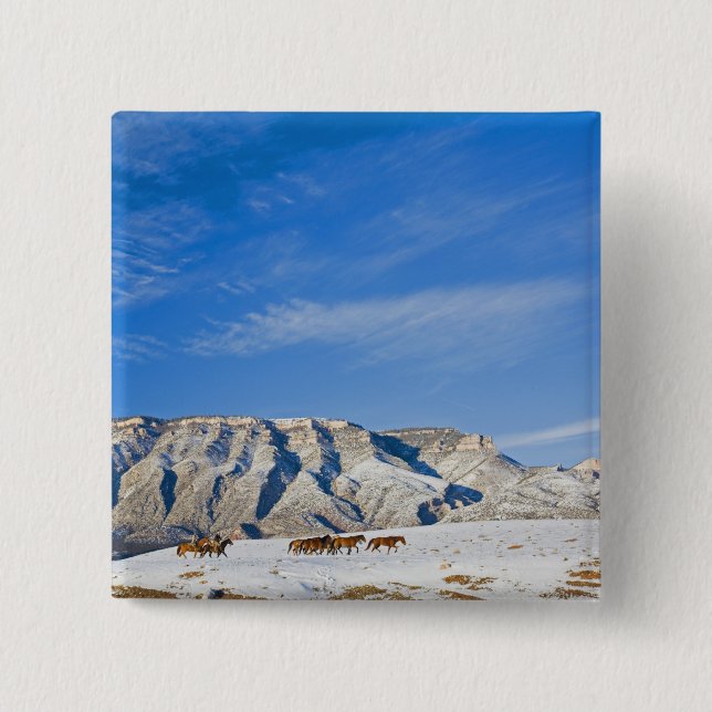 Cowboys mit Heard of Horses Button (Vorderseite)