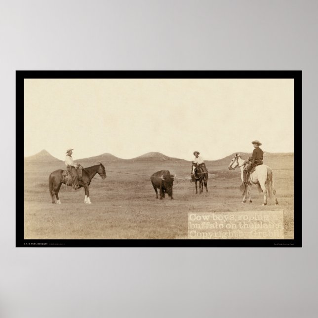 Cowboys rennen ein Buffalo SD 1887 Poster (Vorne)