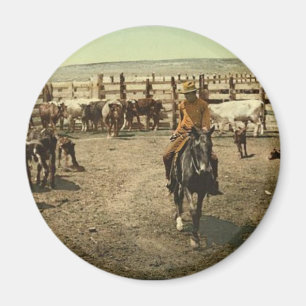 Cowboys und Kühe Magnet