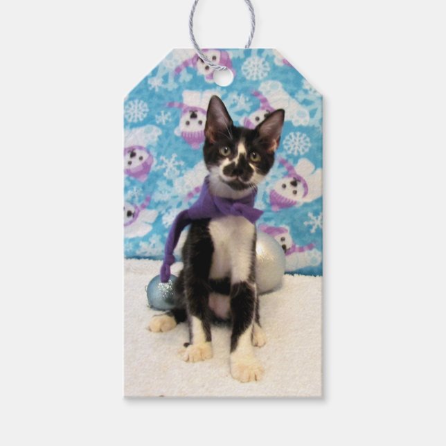 Cowboys Weihnachten - Katze / Kätzchengeschenk-Tag Geschenkanhänger (Vorderseite)