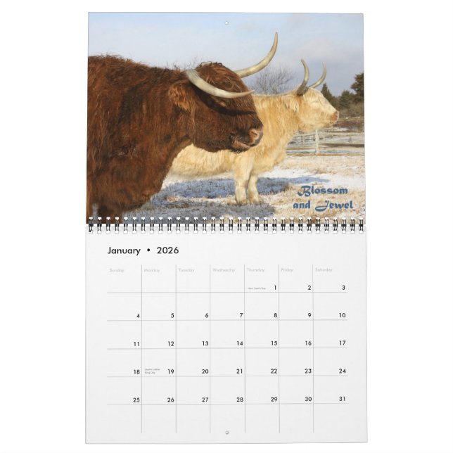 Cowgirl-Kalender 2011 Kalender (Jan 2026)