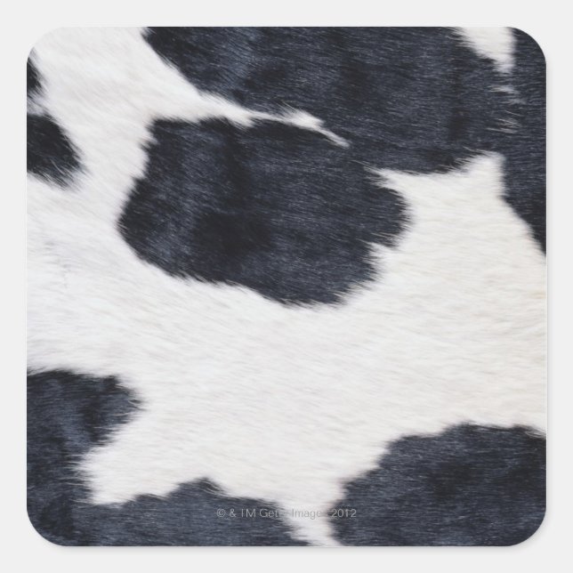 Cowhid Print Quadratischer Aufkleber (Vorderseite)