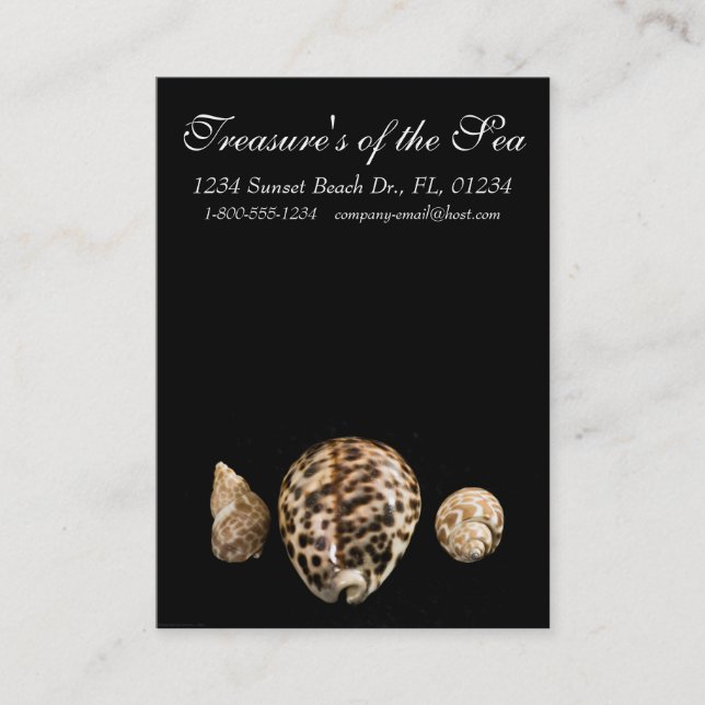 Cowrie Cones 2 Carte de visite (Devant)