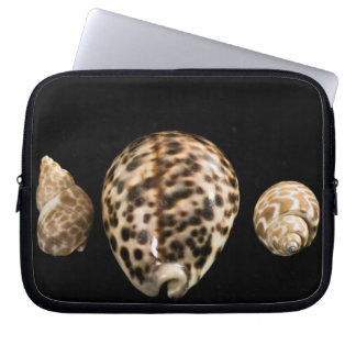 Cowrie Cones 2 Laptop-Sieb Laptopschutzhülle