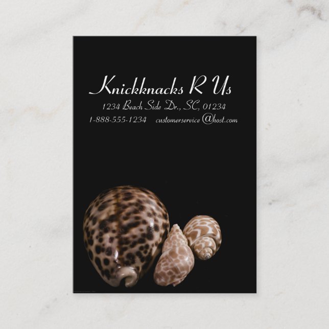 Cowrie Cones Business Card Visitenkarte (Vorderseite)