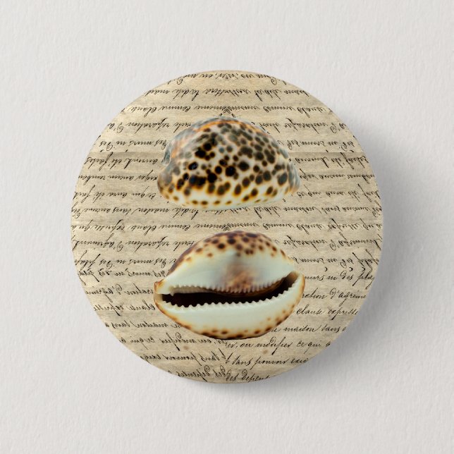 Cowrie Muscheln Button (Vorderseite)