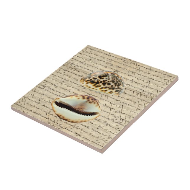 Cowrie Muscheln Fliese (Seite)