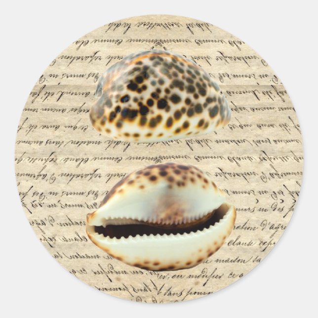 Cowrie Muscheln Runder Aufkleber (Vorderseite)
