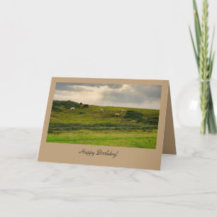 Cows in Pasture Birthday Greeting Card  Karte
