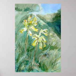 Cowslips Primula veris auf einer Grasbank Poster
