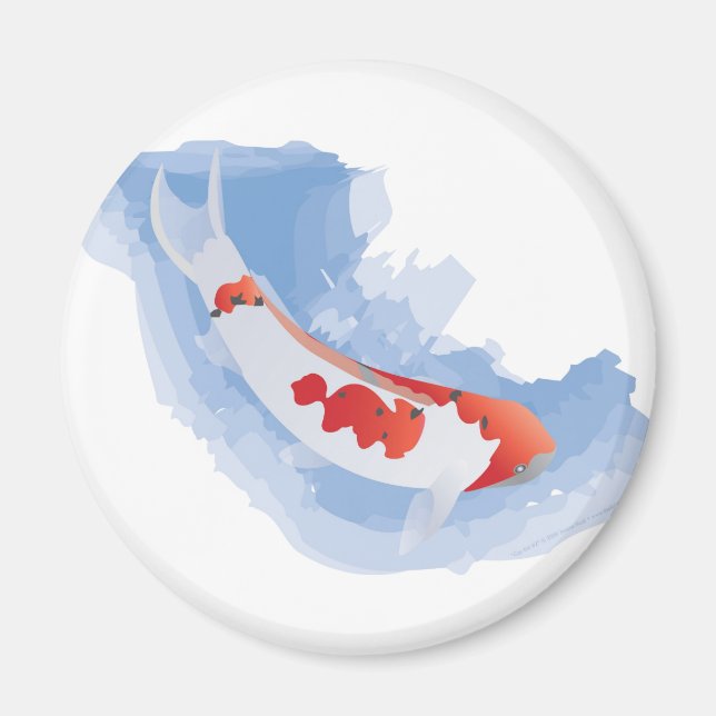 Coy Koi (Digital) Magnet (Vorne)
