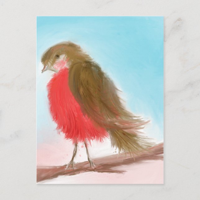 Coy Robin Postcard Postkarte (Vorderseite)