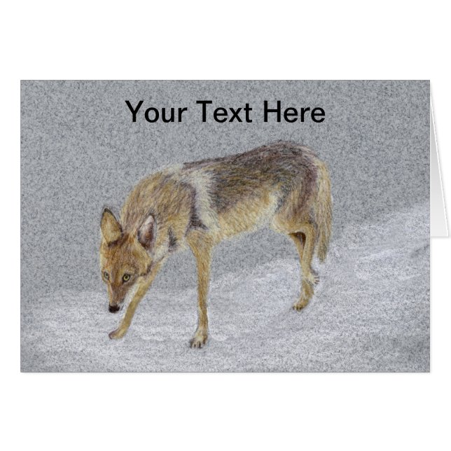 Coyote (Vorderseite (Horizontal))