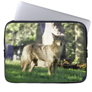 Coyote am Friedhof Laptopschutzhülle
