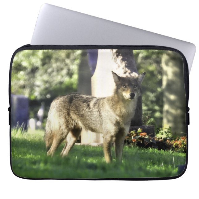 Coyote am Friedhof Laptopschutzhülle (Vorderseite)