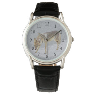 Coyote Armbanduhr