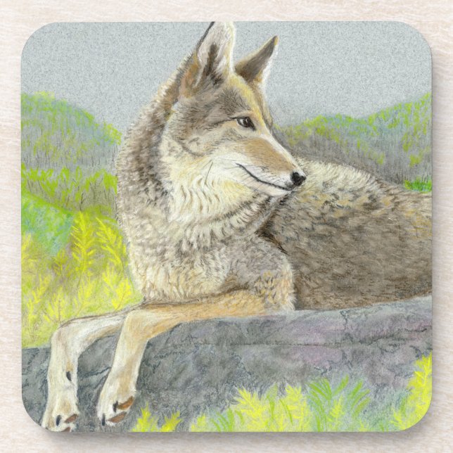 Coyote Beverage Coaster Getränkeuntersetzer (Vorderseite)