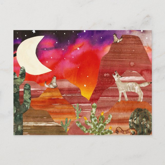 Coyote Canyon Night Songs Postkarte (Vorderseite)
