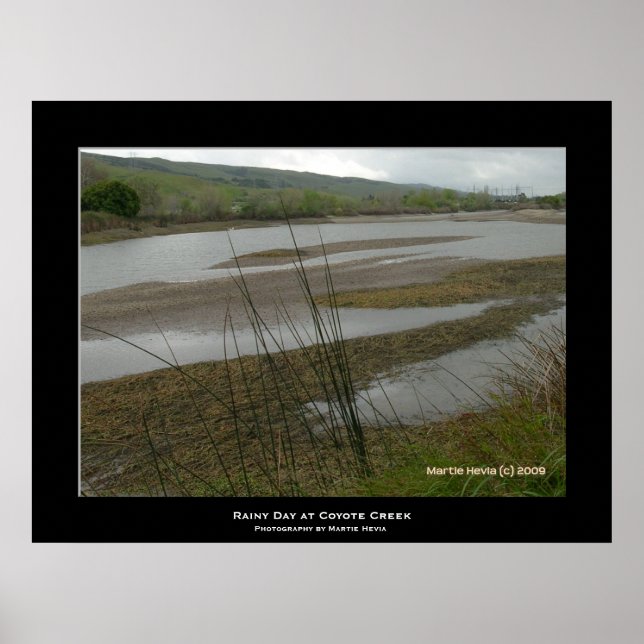 "Coyote Creek Rainy Day" Poster (Vorne)