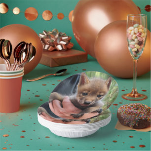 Coyote Cub Pappteller