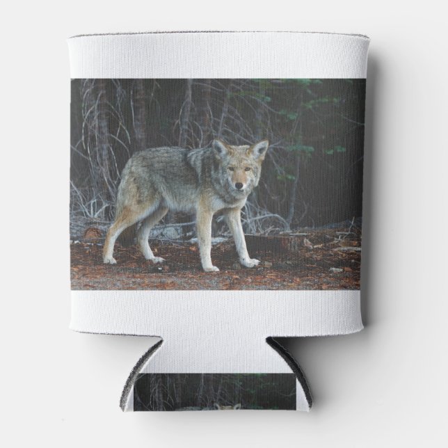 Coyote Dosenkühler (Vorderseite)