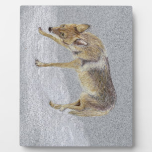 Coyote Fotoplatte