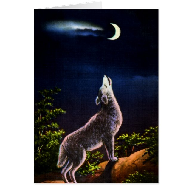 Coyote Howling am Mond (Vorne)